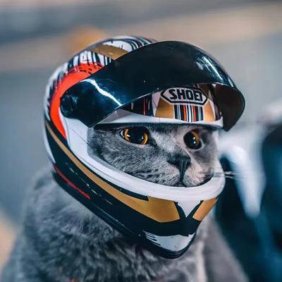 baby biker helmet Nutcase Nutty shell design provides improved durability and extra protection in the rear Close-up Portrait Baby Boy Motorcycle