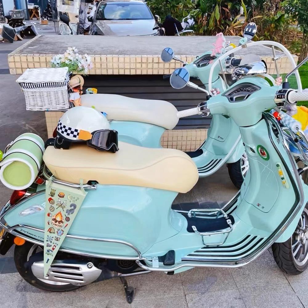 Vintage Scooter Decorative Flag