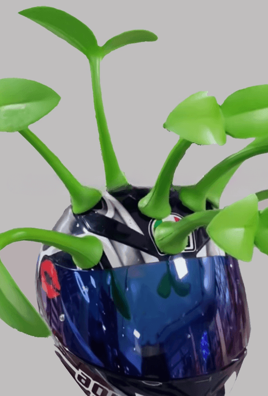 Motorcycle Helmet Sprout Decor – Bean's Moto Booth