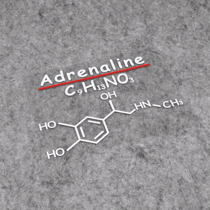 Dopamine, Adrenaline, Caffeine chemical formulas stickers - Bean's Moto Booth