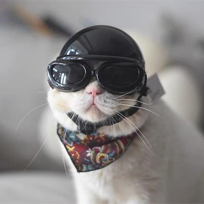 Helmet for Fur Baby🐱 - Bean's Moto Booth