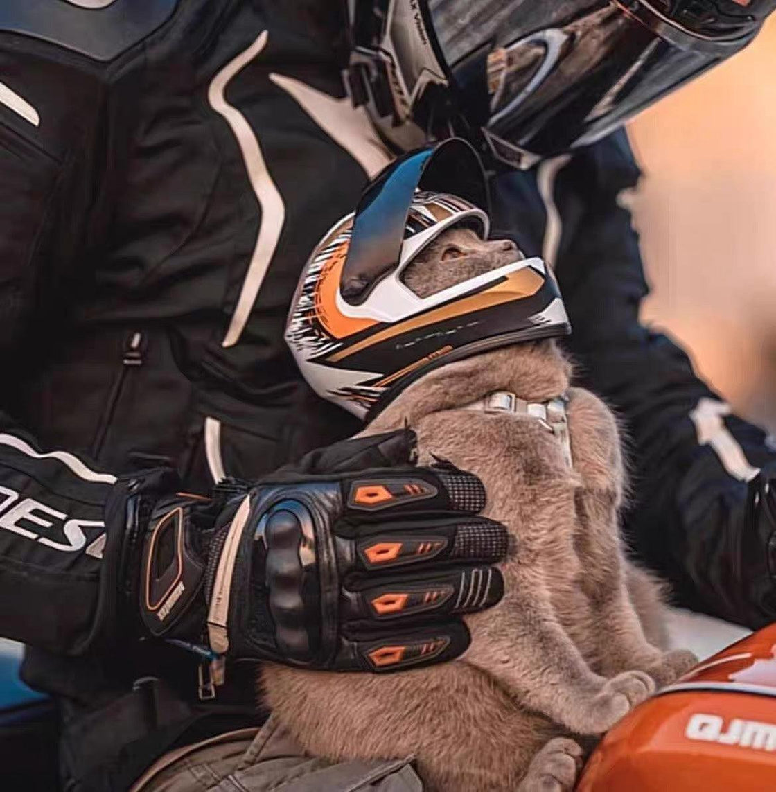 Helmet for Fur Baby🐱 - Bean's Moto Booth